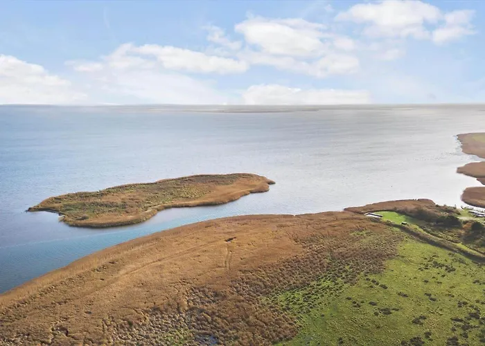 Σπίτι διακοπών 5530-hvide-sande-laust-diges-vej-35 *